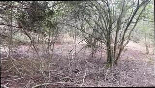 Video 1592435701: bbc solo jerk, bbc solo cum, bbc solo cumshot, solo bbc masturbation, pov solo cumshot, skinny bbc, dick solo masturbating cumming, solo cock masturbation cum, cumshot masturbation gay solo, big dick solo jerk, amateur bbc cumshot, bbc big black cock, bbc public masturbation, solo outdoor cum, solo masturbation hd, thick bbc, american bbc, huge bbc