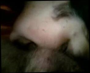 Video 1663918931: bbw ssbbw, amateur bbw blowjob, amateur straight blowjob