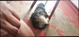 Video 1658705421: takes stepsons dick, stepson's teacher, stepson homemade, sexy stepson, stepson pussy, straight stepson, mother stepson, stepson desi, stepson dressed, son stepson, stepson eat, hot stepson, sexy couple homemade, pussy eating missionary, sexy hot baby, hd homemade couple, sexy long dick, long pecker