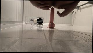 Video 1655103251: femboy ass fucking dildo, gay bareback twink boy, twink anal fucks bareback, bareback twink gay sex, daddy fucks twink bareback, twink bareback fucks cum, twink bareback fucking teen, twink bareback fucking amateurs, twink femboy masturbates, ass femboy big dildo, asian twink bareback ass, barebacks young twink gay, twinks hot bareback fucking, big dick twinks bareback, twink big cock bareback, homemade twinks bareback, twink first time bareback, black twink dildo, gay men bareback sex, dildo gay porn, gay man fucking twink, twink fuck old gay, shower anal dildo, daddy barebacks step son, anal dildo close, indian teen femboy, anal dildo hd, bodybuilder fucks twink, turkish dildo, korean dildo, father step son gay