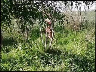 Video 1599114531: milf pissing pee, amateur milf pisses, pee pissing outdoor, milf pierced nipple, tit pierced milf, pierced big tits milf, natural tits amateur milf, homemade big tits milf, pierced tattooed milf, big clit piss, pee straight, milf big tits hd, long pee, milf biggest, milf mexican big