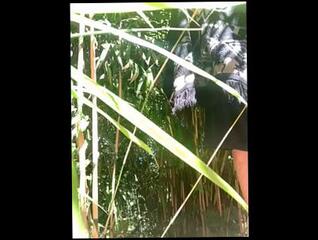 Video 1653325953: cock masturbation solo cumshot, solo male masturbation cumshot, solo man masturbation cumshot, amateur solo male masturbation, solo big dick cumshot, fat dick solo, solo public masturbation, solo male muscle, dude jacks