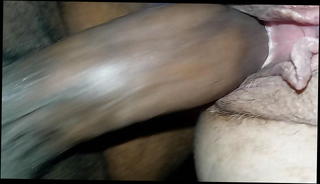 Video 1566805381: farting doggy, bbc doggy, pussy fart, straight bbc, good farts, best farts, american bbc