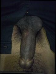 Video 1663687431: virgin boy gay sex, virgin teen gay sex, virgin boy masturbating, virgin boy fuck, virgin boy cum, virgin boy anal, huge cock bbc fucking, virgin boy first time, virgin boy friend, old virgin boy, indian virgin boy, black virgin boy, virgin cute boy, virgin muslim teen, hot virgin masturbation, young virgin boy, man fuck virgin, virgin arab teen, virgin japanese teen, nude virgin, bikini strip, dirty bbc, bbc penetration, bikini girl, virginal game, bangladeshi virgin, german virgin, korean virgin, virgin close, russian bbc, boys fucking dads, gay sex filipino boy, gay sex african boy, gay sex boys hd, boy fucks older man, pakistani teen 18 sex, gay sex locker