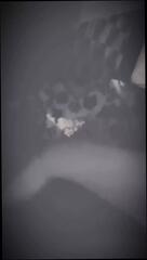 Video 1602541371: horny self, man gay