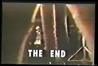 Video 272907101: retro amateur cock, retro big cock, straight amateur cock, big erect cock, large erect