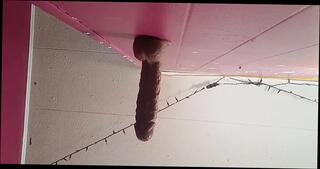 Video 1664567891: bbc dildo, sissy trans girl, shemale trans sissy, booty trans girl, shemale sissy anal, sissy shemale masturbate, sissy woman, sissy homemade, booty toyed, english sissy, sissy american, booty bounce, petite sissy