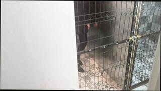 Video 1664777951: milf slut sucking cock, amateur milf sucking cock, milf sucks fat cock, hot milf sucks cock, hot homemade slut milfs, amateur milf home, hottest homemade milfs, straight milf, hot step milf, milf hd, mom steps