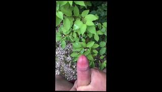 Video 1653633383: gay solo cumshot compilation, uncut cock cumshot compilation, solo uncut cock masturbating, solo male cumshot compilation, uncut cum compilation, big cock solo compilation, solo orgasm compilation, solo toying compilation, solo jock masturbating, solo masturbation moaning orgasm, amateur cum swallow compilation, dick solo masturbating cumming, solo masturbation sex toys, daddy cumshot compilation, women orgasm compilation, thick uncut cock cum, horny solo male masturbation, cumshot compilation straight, compilation multiple cumshots, solo guy moaning, public cumshot compilation, cumshot clean