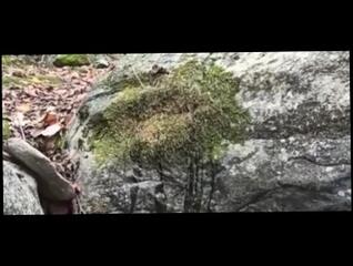 Video 1589758993: piss fetish babe, solo pissing babe, teen piss solo, solo female pissing, amateur teen girl solo, amateur teen webcam solo, pissing girl outdoor, students pissing, beautiful girl pissing, girl public pissing, taking long piss