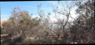 Video 1655589221: solo piss masturbation, fetish gay piss, cock handjob pissing, homemade masturbation solo, balls pissing, pissing public gay, european solo masturbation, solo masturbation hd, opened pissed, spanish solo