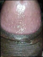 Video 1657986141: vintage hairy, hairy nude gay, hairy cock dick, big hairy cock gay, vintage gay porn, indian nude hairy, hairy desi indian