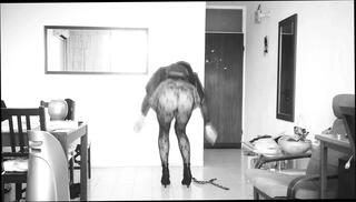 Video 1658958881: crossdresser sissy pantyhose, sissy crossdresser solo, sissy pantyhose nylon, crossdress gay sissy slut, amateur teen sissy crossdresser, sissy crossdresser cum, crossdresser pantyhose cock, sissy crossdresser masturbates, teen skinny crossdresser, crossdresser sissy lingerie, nylon pantyhose high heels, crossdresser pantyhose stockings, young sissy crossdresser, solo masturbation striptease, small cock crossdresser, solo masturbation hd, crossdresser skirt, crossdresser stranger, super sexy