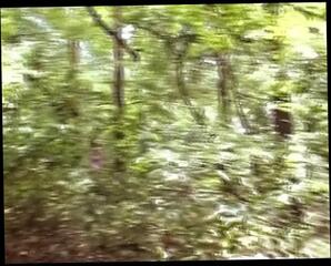Video 1643405661: retro amateur pussy, retro german amateur, deep throat retro, retro facial, solo action, bitch solo, retro big ass, retro hardcore, retro sex, retro masturbation, retro fuck, retro blowjob, man retro, outdoor retro, retro brunette, fucking slutty bitch, pussy fucked jizzed outdoors, amateur straight man masturbation, fuck jizz spray, pussy fucking bottle, babe face jizzed, fucking bitch men, ass fucking time, pussy female fuck, pussy came inside, great pussy