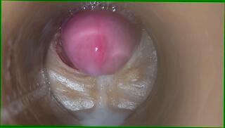 Video 1657650255: pov pussy fucking creampie, pov amateur fuck creampie, cock deep pov creampie, pov sex huge creampie, pov oil handjob, pov creampie cum, oiled pov dick, homemade pov creampie, bdsm pov sex, bdsm fetish cock, pov creampie big, cock pov cum swallow, pussy fucking creampie sexy, pussy creampie sex orgasm, cock sex toys fetish, swallows pov cum load, pov deep throats cum, oiled sexy huge butt, fucked multiple orgasm pov, pussy fucking creampie close, cock pov lady, pov pussy cream, fat pussy creampie, pussy vagina, germany sex, pussy camera