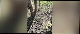 Video 1655319261: bbc bareback compilation, dick solo cumshots compilation, gay solo cumshot compilation, bareback compilation big dick, bisexual bareback couples, big cock bareback compilation, bbc blowjob compilation, amateur bbc compilation, bbc solo cum, amateur fetish compilation, barebacking guys compilation, first bbc bareback, cum bisexual gay straight, big dicked bareback boys, big dick bisexual daddy, boy friends bareback cum, first time bareback boy, guy man gay bisexual, dick latino bareback, bareback muscle boy, gay latino outdoor bareback, british boys fetish, bareback daddy bear, amateur outdoor public compilation, car cumshot compilation, cum compilation hd, bbc park, dick guys love, dick hungry