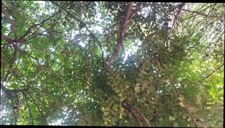 Video 1656749751: crossdresser sissy femboy shemale, crossdresser ladyboy sissy femboy, sissy femboy compilation, sissy femboy solo, femboy trans ladyboy crossdresser, shemale solo cum compilation, shemale solo cumshots compilation, sissy femboy masturbate, public masturbation sissy crossdresser, big ass femboy sissy, teen sissy femboy, solo female masturbation compilation, sissy crossdresser cock, massage cumshot compilation, beautiful sissy femboy, hot sissy femboy, young sissy femboy, pornstar masturbating solo, pretty shemale compilation, cum compilation hd, femboy dances, college femboy