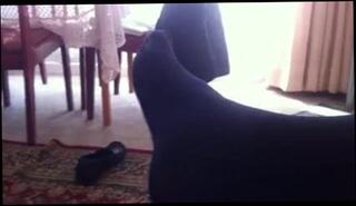 Video 51023601: nylon wife, nylon gay man, wife wears