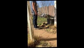 Video 1663324153: pissing peeing fetish, solo pee fetish, pee desperation pissing, pee pissing outdoor, solo male piss, amateur public piss, piss inside, long piss