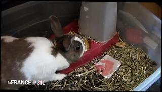 Video 1659170681: max casanova, milf bdsm fuck, amateur milf bdsm, horny milf sucking fucking, milf sucks tit fucks, amateur milf fuck cum, milf blowjob tit fuck, horny redhead milf fucks, ebony milf fucking sucking, hot milf fucking sucking, milf sucking fucking black, mature milf fucking sucking, sex hot milf fuck, hot french milf fucked, fuck hottest milf, milf stockings fucking, milf fucked hd, fake tits milf, straight bdsm, park milf, milf shooting, cock sucking fucking, fucking afro, tits loaded, fucking wet