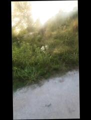 Video 1655560031: solo cock masturbation cum, cock masturbation solo cumshot, solo jerk cum, solo male masturbation cum, solo man masturbation cumshot, amateur solo male masturbation, solo jerk gay, solo cums stroking, solo men masturbating, solo gay man outdoor, solo public masturbation, solo masturbation hd, solo american, solo outside