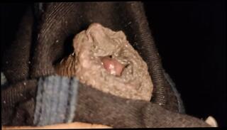 Video 1663437751: teen anal gay porn, teen gay porn young, homemade anal porn, gay handjob porn, homemade old young gay, indian homemade porn, homemade mature porn, homemade hd porn