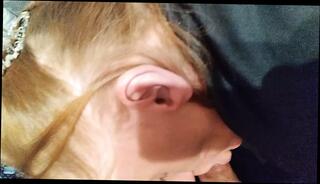 Video 1616992281: amateur ass blowjob, amateur straight blowjob, amateur loves ass, amateur big ass mature, amateur redhead blowjob, amateur blowjob close, amateur blowjob hd