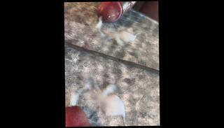 Video 1618937323: amateur creampie cumshot compilation, solo male cumshot compilation, solo masturbation compilation, solo cum compilation, creampie compilation big, creampie caught, dick solo masturbating cumming, boy caught masturbating, babysitter caught masturbating, male celebrities caught