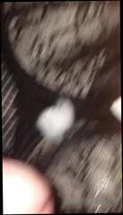 Video 285628401: lesbian femmes, man gay