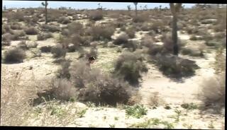 Video 1655921461: jennifer white, stud fucks slut, stud fucked hard, stud fucks brunette, beautiful stud, sex blowjob fuck hard, babe fucks sluts, babe blowjob fucked outdoor, slut loves fucking hard, fucked english slut, slut copulated, fucking straight hard, sex fuck hd, slut picked, fucked hard small, coitus