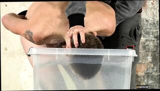 Video 1657715331: dominate gay twinks, uncut gay twink, gay twink bondage, hairy twink gay, domination humiliation, twink uncut young, hairy gay couple, humiliation blowjob masturbation, domination hd, sucking