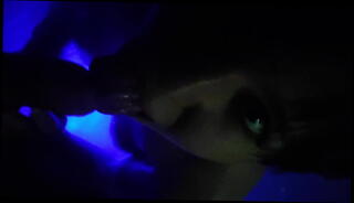 Video 1592223535: amateur latin blowjob, exotic amateur blowjob, amateur college blowjob, hot amateur blowjob, jacuzzi blowjob, colombiana amateur