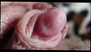 Video 1653741065: pussy clit orgasm, amateur clit orgasm, orgasm amateur homemade, clitorial orgasm, big clit orgasm, orgasm jerking, clitoris rubbing, huge clitoris