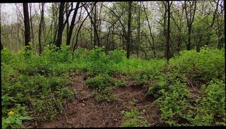 Video 1665431393: amateur milf cuckold, milf moaning orgasm, amateur milf girl, mature amateur cuckold, amateur milf public, female cuckold