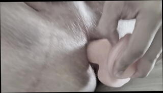 Video 1594891755: fingers toy dildo, bisexual dildo, dildo gape, booty dildo, bisexual husband wife, straight dildo toys, bisexual sexual fantasy, booty cheeks, naughty dildo, dildo stretching, dildo juicy