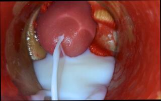 Video 1662373161: bbc anal creampie compilation, bbc crossdresser bareback, twinks rimming bareback, twink bareback piss, twink bareback uncut, uncut cock cumshot compilation, twink rimming cock sucking, twink bareback gay porn, bareback gay hardcore twink, grandpa uncut cock, bareback ass hole rimming, grandpa cum compilation, huge cock bareback creampie, swallow bbc compilation, grandpa blowjob compilation, uncut dick piss, bbc masturbation compilation, black bareback compilation, creampie compilation hd, uncut cock wank cum, cock close uncut wank, uncut cock balls, black gay man pissing, secret crossdresser, screaming bbc, inside pov, pov camera