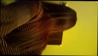 Video 1429207985: voyeur hidden spy cam, big ass voyeur, voyeur big tits, toilet voyeur, bathroom voyeur, slut spied