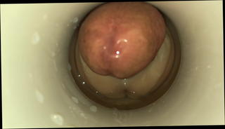 Video 1222885201: cum cam man, gay man cum