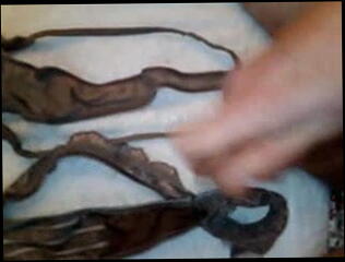 Video 20234301: machine two, gay man cum, cum thong