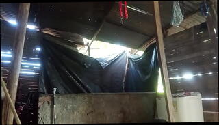 Video 1602773615: pussy licking hardcore sex, pussy licking hardcore fuck, ass fuck pussy licking, pussies asses licked amateur, amateur homemade fucking hardcore, amateur sex masturbation fuck, pussy licking hard sex, hard sex horny fucking, pussy sex orgasm, pussy licked big ass, mature pussy fucked hard