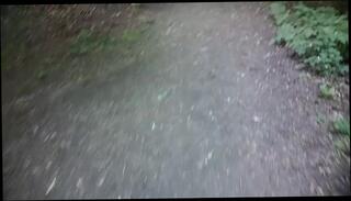 Video 1625277983: pee piss urine, pissing peeing fetish, solo pee fetish, men pissing urinal, solo male piss, pov pissing, amateur pov cock, amateur public piss, piss park, taking piss