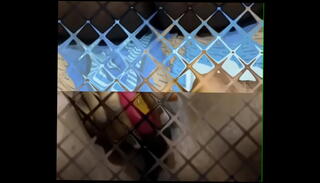 Video 1657495175: lesbian sex strap, lesbian sex licking pussy, lesbian pussy licking scissoring, lesbian pussy pleasure, glamour girls