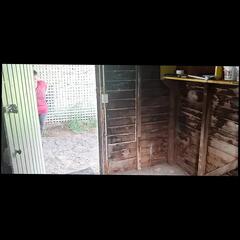 Video 1655994941: bbw milf pov, sexy bbw milf wife, bbw milf sucking cock, amateur pov milf sucking, bbw milf sucking fucking, amateur milf pov blowjob, amateur homemade bbw milf, hot milf bbw housewife, mature bbw housewife milf, milf huge cock pov, pov face fucking milf, milf pov big cock, milf pov facial, bbw milf cums, thick milf pov, pov bbw huge mouth, milf pov hd, milf sucking cock balls, amateur homemade pov sex, bbw housewife drips, warm pov blowjob, haired milf sucks, milf sexy head, long pov blowjob, hottest pov blowjob, mans cock pov, muscle milf fuck, straight milf, hot australian milf, milf housewives, milf explodes