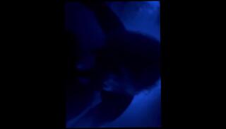 Video 1624321343: bbw milf pov, sexy bbw milf wife, bbw milf sucking dick, amateur milf pov blowjob, bbw milf hot wife, pov gagging blowjob, horny bbw milf, bbw milf big ass, amateur dirty talking pov, naughty amateur milf sucks, pov outdoors amateur blowjob, milf neighbor sucking dick, hot pov blowjob sex, sex public pov blowjob, horny milf moans, bbw sucks daddy, caucasian milf, outside blowjob