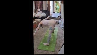 Video 1653751063: milf amateur fetish, amateur milf solo, pantyhose lingerie solo, hot milf fetish, milf stockings solo, milf solo female, tattooed amateur milf, pantyhose women, solo female yoga, pantyhose fishnet stockings