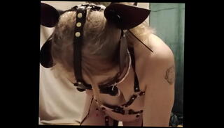 Video 1655900995: bdsm bondage doggy style, pov doggy style dildo, milf doggy style pov, bdsm bondage humiliation, bdsm bondage slave, homemade milf bondage orgasm, bondage bdsm homemade amateur, doggy style pov vibrator, bondage whore humiliated, chained sex slave, tits milf doggy style, bdsm slave slut, milf slut pissing, sexy milf pissing, piss drinking slave, slapping doggy style, pov milf multiple, milf public pissing, european milf pov, sex toy vibrator dildo, slap tits talk dirty, maid sex slave, milf housewife slut, natural tits amateur milf, milf sexy stockings, exhibitionist bondage