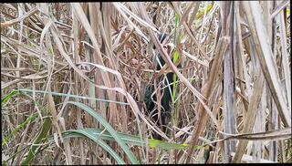 Video 1623059091: brother step sister sex, brother step sister homemade, indian brother step sister, hot step brother sister, big step brother sister, brother friends sister, indian couple sex aunty, sex aunty girls, desi aunty homemade sex, housewife aunty sex, bisexual sex couple, aunty sex indian hindi, desi old aunty sex, wife desi aunty, big cock step brother, straight step brother, aunty indian 18 year, hot step sister hd, sister close, desi girl hardcore sex, awesome hardcore sex, indian web sex