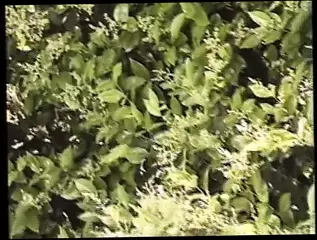 Video 1578158631: vintage retro porn, vintage hardcore retro, sexy vintage porn, vintage amateur porn, porn vintage experience, best retro porn, hot vintage porn, hottest amateur vintage, vintage orgasm, vintage pornstar, vintage straight, hot black vintage experience, good vintage