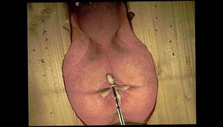 Video 170594765: gay straight anal, anal experimentation