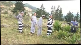 Video 246786201: gay gang porn